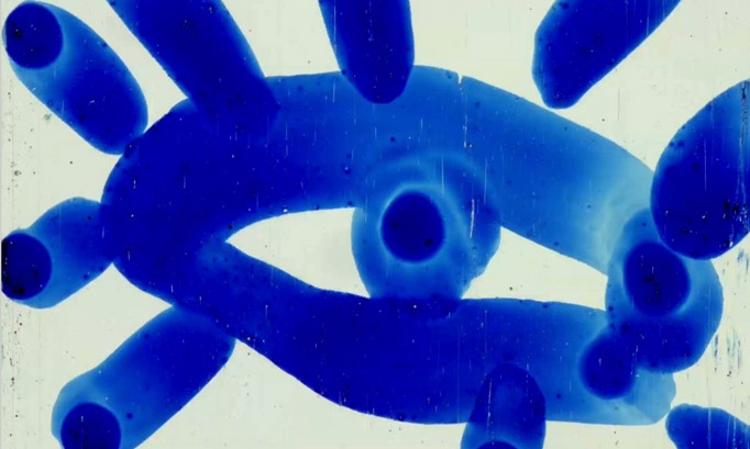 LAC - Laboratorio di Animazione Cromatica